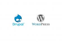 Drupal & Wordpress logos