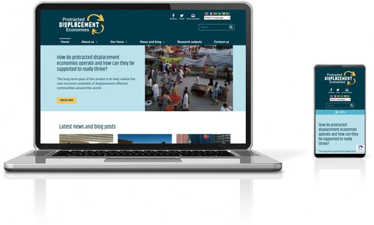 Screenshot of Displacement Economies website 